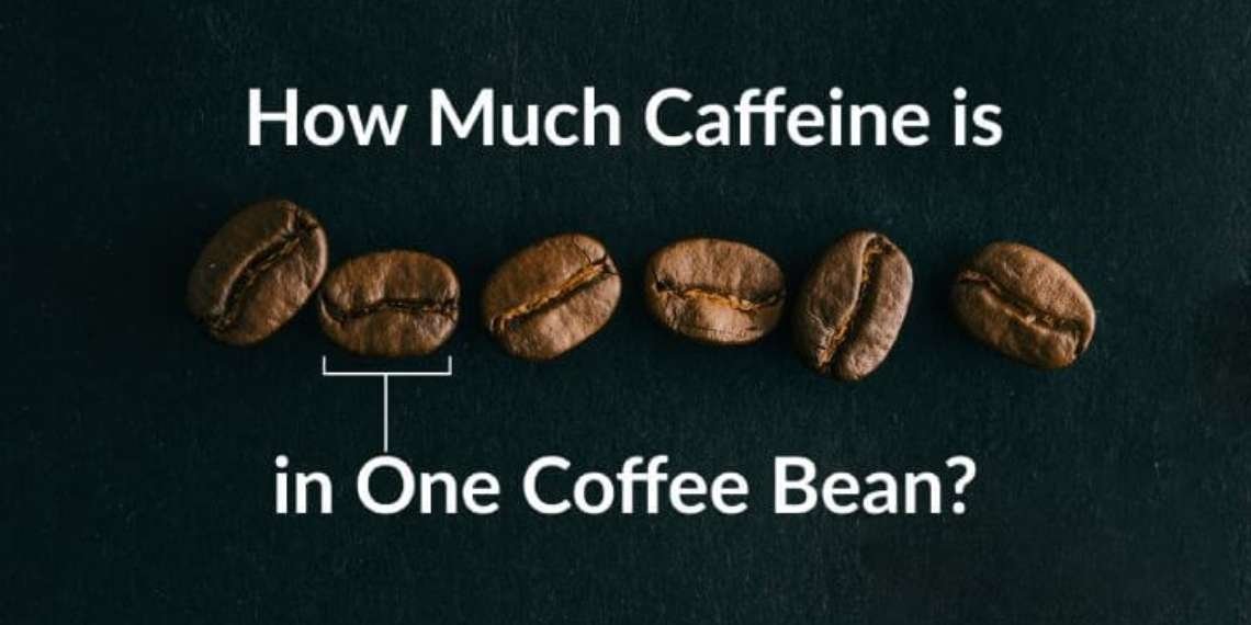 amount of caffeine in coffee bean